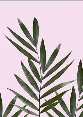 Leaves the nature series