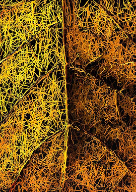 psychedelic yellow leaf texture abstract