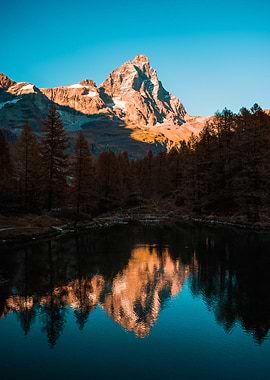 Reflection in the Nature