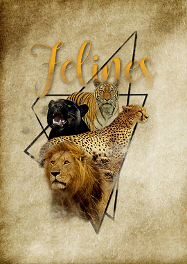 Felines