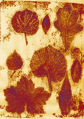 leaf print