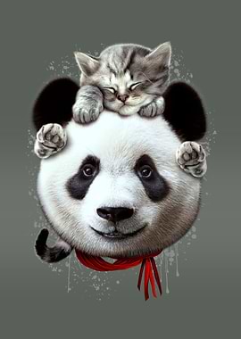 CAT ON PANDA