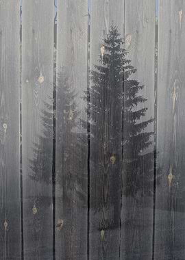 Fir-trees on a wood background