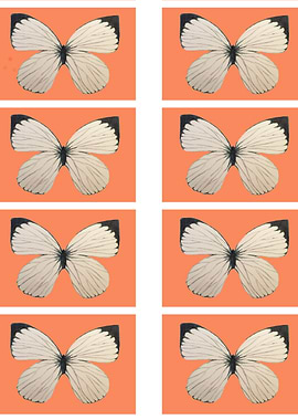 butterflies