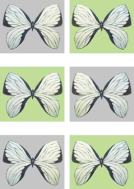 butterflies