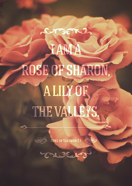 Song of Solomon 2:1