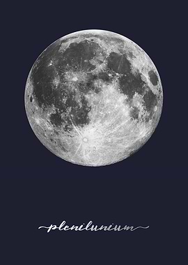Full Moon - Latin - On Navy Blue