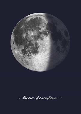 Third Quarter Moon - Latin - On Navy Blue