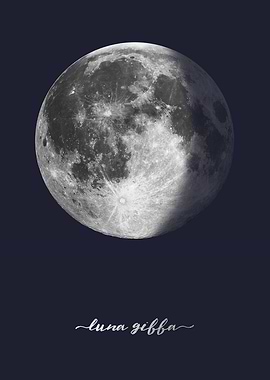 Waning Gibbous Moon - Latin - On Navy Blue