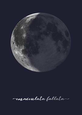 Waning Crescent Moon - Latin - on Navy Blue