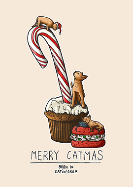 Merry Catmas, born in the Cativersum