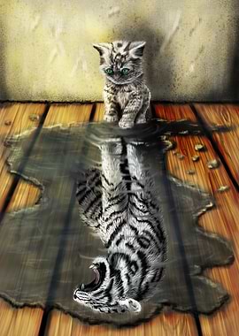 More then meets the eye!