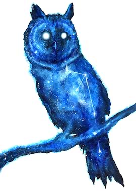 Space Owl / Double Exposure Animals