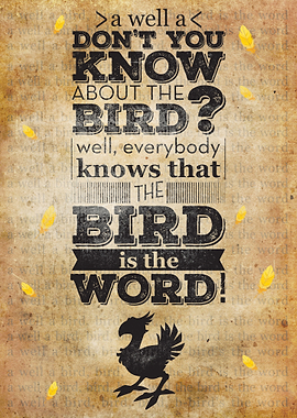 Final Fantasy Chocobo - Bird is the Wird