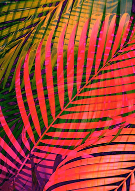 COLORFUL TROPICAL LEAVES v4