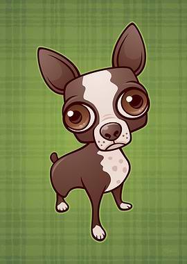 Zippy the Boston Terrier