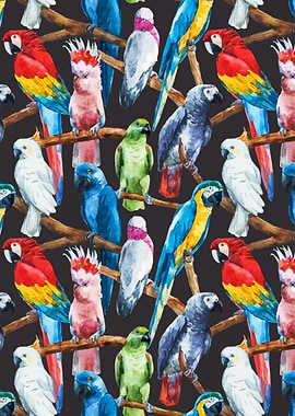 Parrot Pattern 04