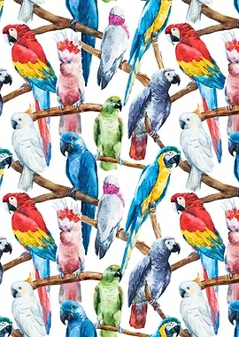 Parrot Pattern 02
