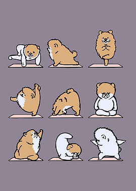 Pomeranian yoga