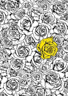 Yellow rose