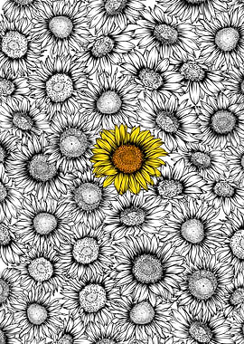 Sunflower pattern