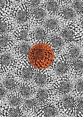 Orange dahlia