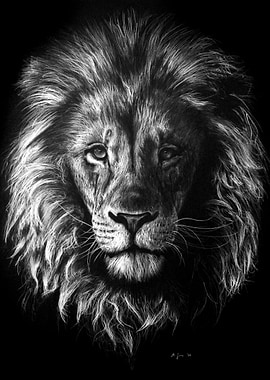 The Lion