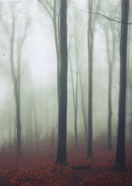 undisturbed