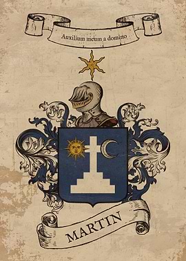 Martin Cost of Arms (Ireland)