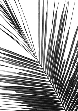 palm leaves pattern