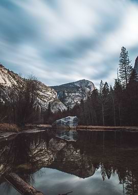 Surrounded by Nature