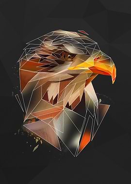 Eagle - sketch