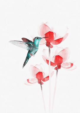 hummingbird