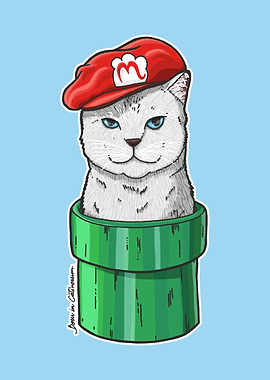 Meow Bro 1, born in the Cativersum