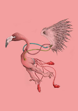 The Flamingo