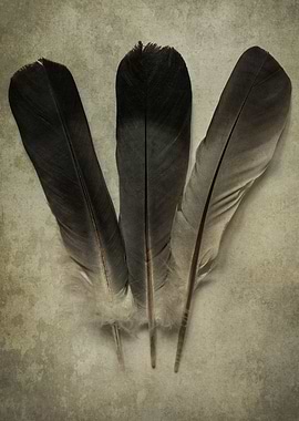 Three feathers on rusty metal background