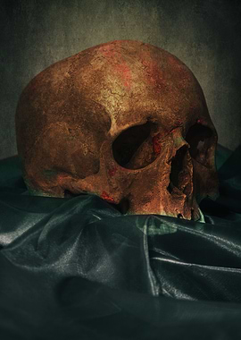 Still life with human skull and silk fabric