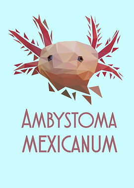 Low Poly Axolotl