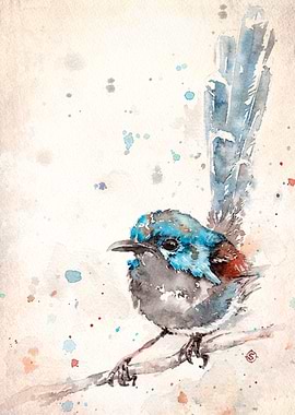 Mischief In The Making (Fairy Wren)