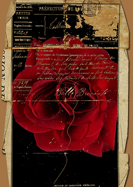 Vintage rose