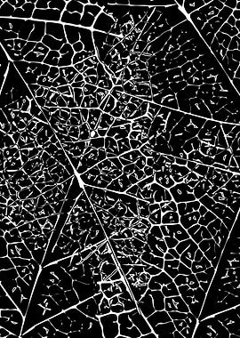 black leaves design