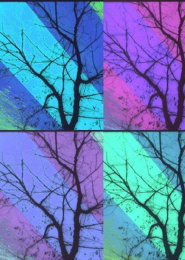 Central Tree Collage