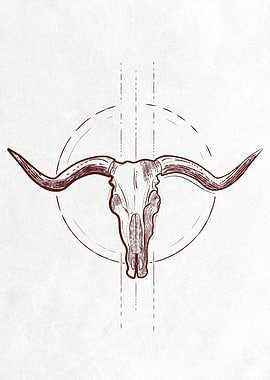 Cow Skull
