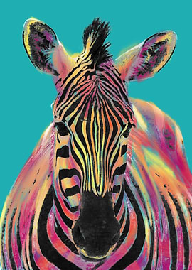 Zebra