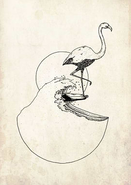 surfing flamingo
