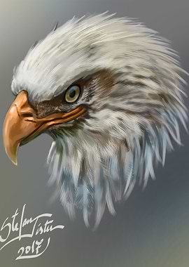 Eagle head