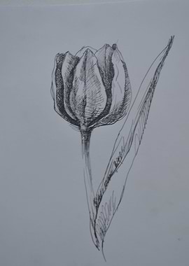 Ink tulip