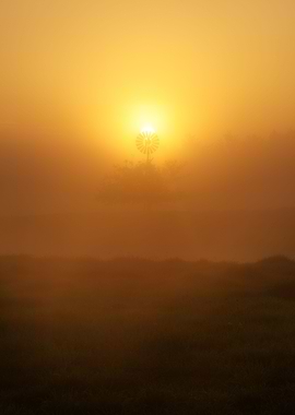 Sunrise over Richmond Lowlands windmill, Sydney