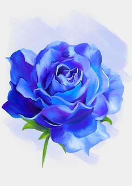 A Blue Rose