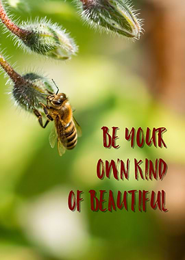 Be beautiful